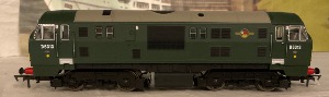 Dapol Class 22 BR Green D6313